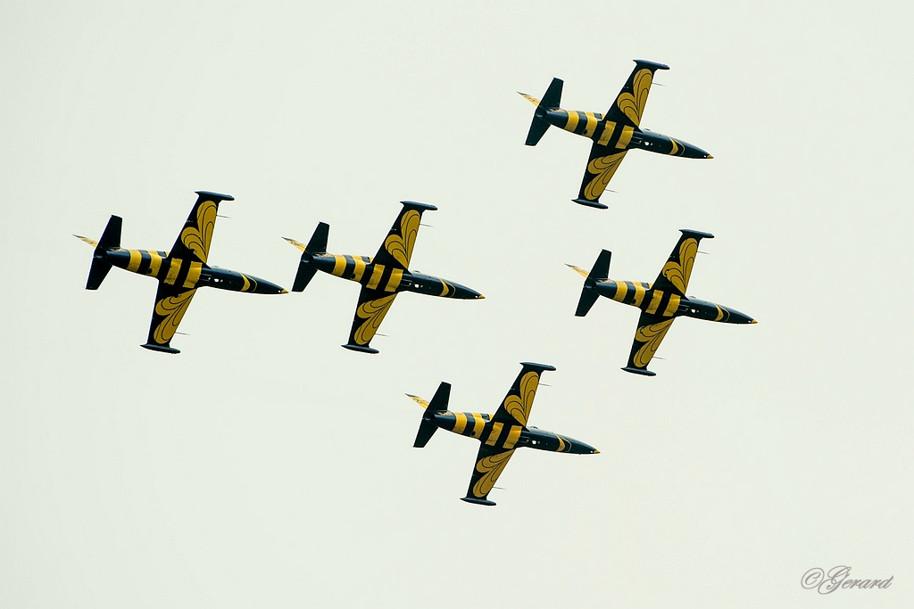 20130913_0029.jpg - Baltic Bees Jet team